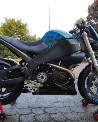 Buell XB9SX del 2005 Custom/Café Racer