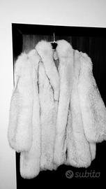 Pelliccia volpe Groenlandia