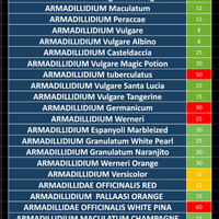 Isopodi, millepiedi, blatte e collemboli