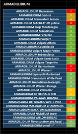 Isopodi, millepiedi, blatte e collemboli