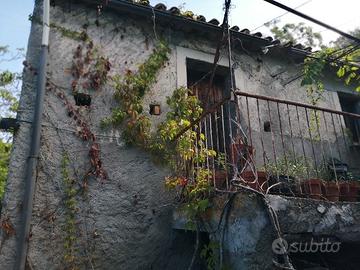 Terreno colongi di amantea