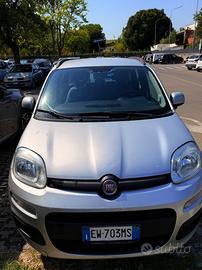 Fiat panda grigia