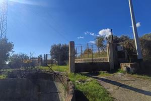 Terreno Agricolo Messina [Cod. rif 3302742VCG]