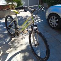  Lombardo Panarea 100- x ragazza cerchi  da 26