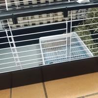 FERPLAST Gabbia per cavie in condizioni perfette