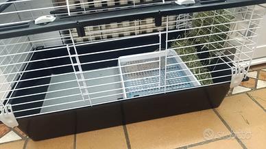 FERPLAST Gabbia per cavie in condizioni perfette