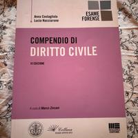 Libro Compendio di Diritto Civile