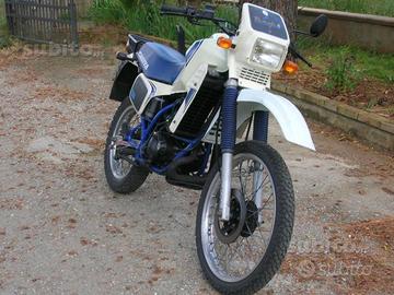 Cagiva elefant