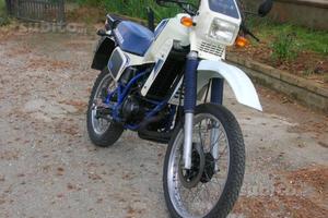 Cagiva elefant