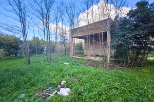 Rustico casale con terreno edificabile