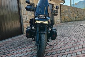 Harley-Devinon Panamerica special anno 2022
