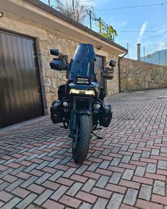Harley-Devinon Panamerica special anno 2022