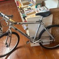 Bicicletta groupe schneider