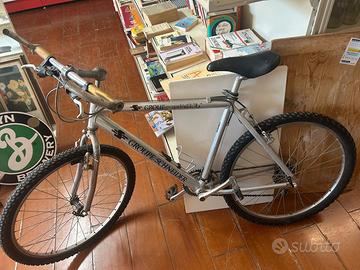 Bicicletta groupe schneider