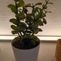 Piantina finta ornamentale 