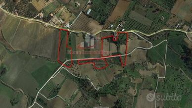 Terreno di 30000 m² a Partinico