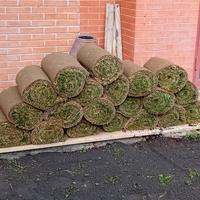 prato inglese rotoli erba vera da giardino