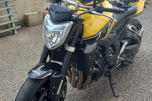 Yamaha FZ1 tiratura limitata