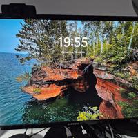 Monitor Samsung 24 pollici..PERFETTO! 