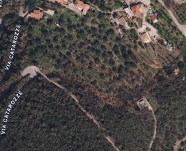 Terreno agricolo panoramico