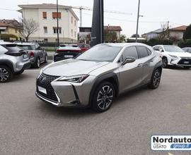 Lexus UX Hybrid Executive