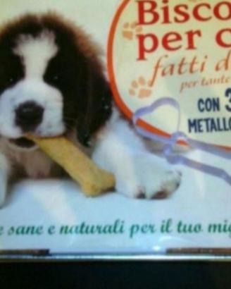 Biscotti cane fai da te nuovo