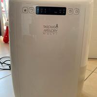 Deumidificatore De Longhi DEXD214F