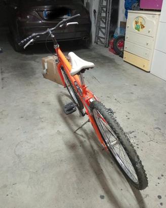 Bici mtb