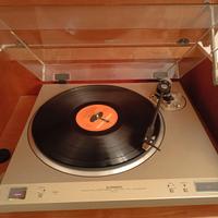 PIONEER PL-8 GIRADISCHI