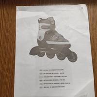 Pattini a rotelle