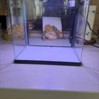 Acquario Nobleza 14 litri