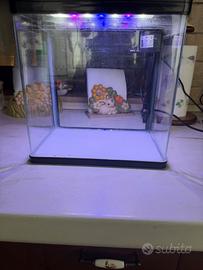 Acquario Nobleza 14 litri