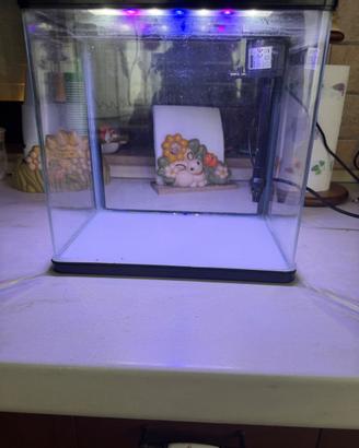 Acquario Nobleza 7 litri