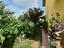 Immagine 29