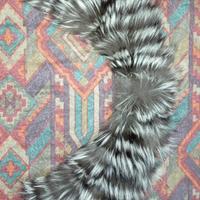 Collo / bordo cappuccio in pelliccia – Fabrizio Le