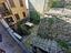Immagine 7