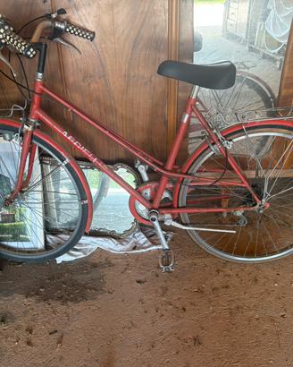 Bicicletta vintage