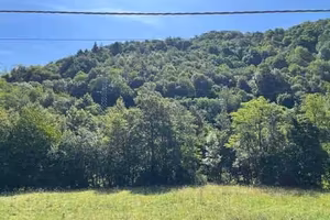 Terreno di 21000 m² a Rezzoaglio