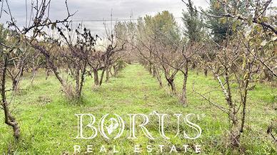 Terreno edificabile - San Marcellino