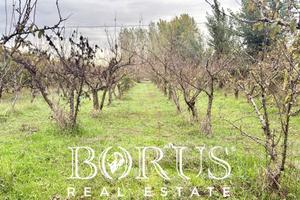 Terreno edificabile - San Marcellino