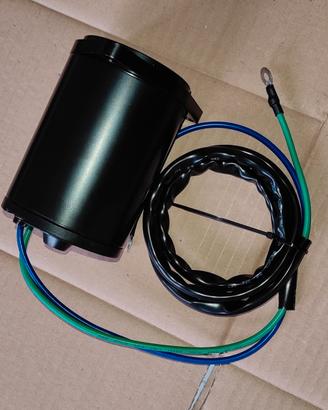 Motorino trim nuovo compatibile Yamaha V6 200/250