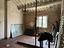 Immagine 14