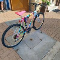 bicicletta mountain bike 