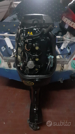 Motore 4 tempi Evinrude 40