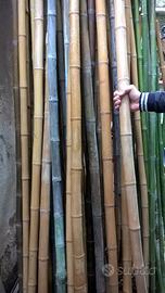 Canne di Bambù