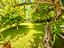 Immagine 19