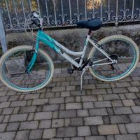 bicicletta Mountain bike 