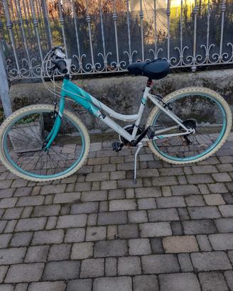 bicicletta Mountain bike 