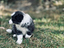 Immagine 29