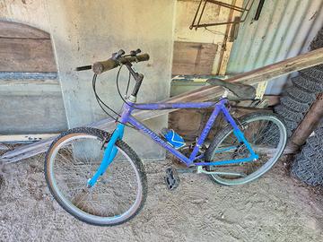 mountain bike